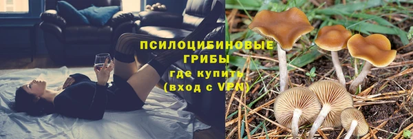 сатива Богданович